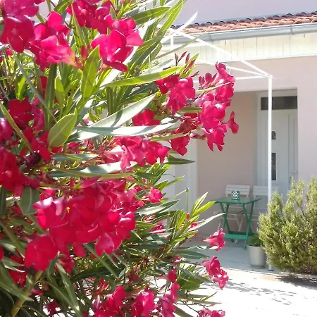 Apartmani Bruna Jezera Exterior photo